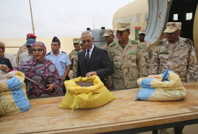 La Mauritanie lance une campagne de semis aériens pour lutter contre la désertification qui touche 84% de son territoire