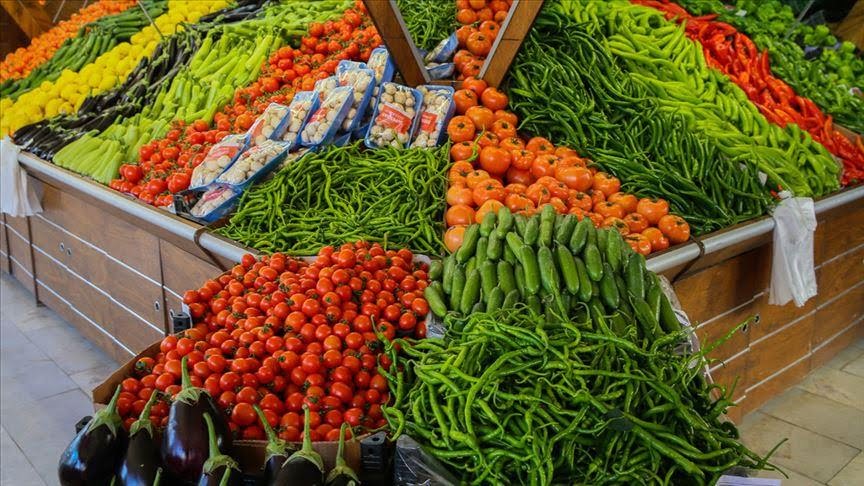 Maroc : les exportations de légumes frais ont rapporté gros en 2023, malgré une baisse des volumes