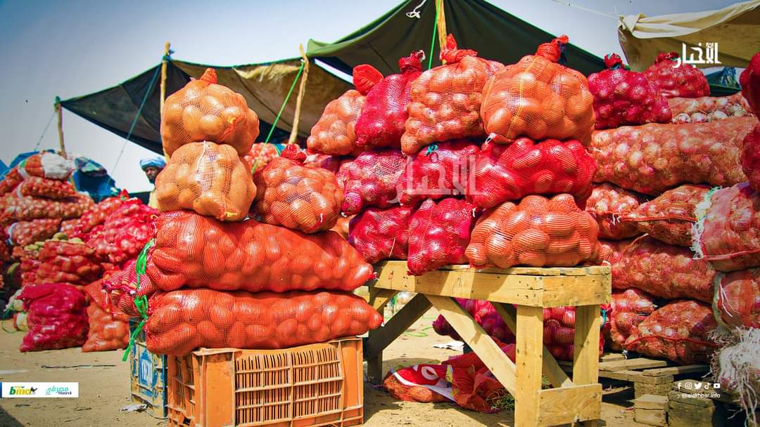 Légumes : baisse des prix au Maroc suite à une augmentation des droits de douane par la Mauritanie