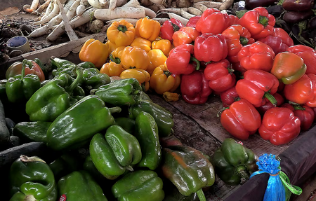 Mauritanie : la pluie fait pousser les légumes ailleurs et grimper les prix à Nouakchott