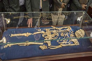 Enfin reconstitué, le squelette d'un australopithèque plus vieux que Lucy bouleverse les certitudes