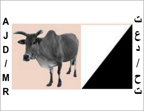 L’Ajd/Mr dénonce la représentation de la CENI Amérique