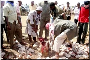 TV5 Mag : Envoyé spécial - Le 01 décembre 2012 à 21:00 sur TV5 Monde