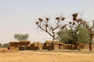 Mali: un expert de l'ONU alerte sur les conflits au centre du pays