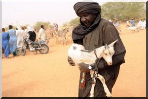 En Mauritanie, 74.000 Maliens «échoués dans le désert» ont besoin d’aide, alerte MSF - [VIDEO]
