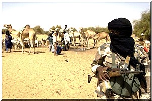 Mali: attentat suicide près de Gao, 2 soldats maliens et 5 islamistes tués