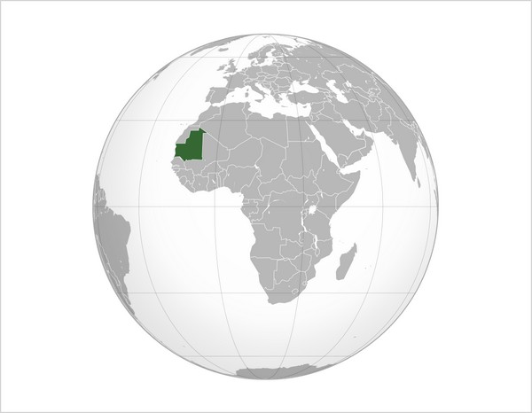 Diplomatie Mauritanienne : Forces et faiblesses dans un monde en mutation. Par Pr ELY Mustapha