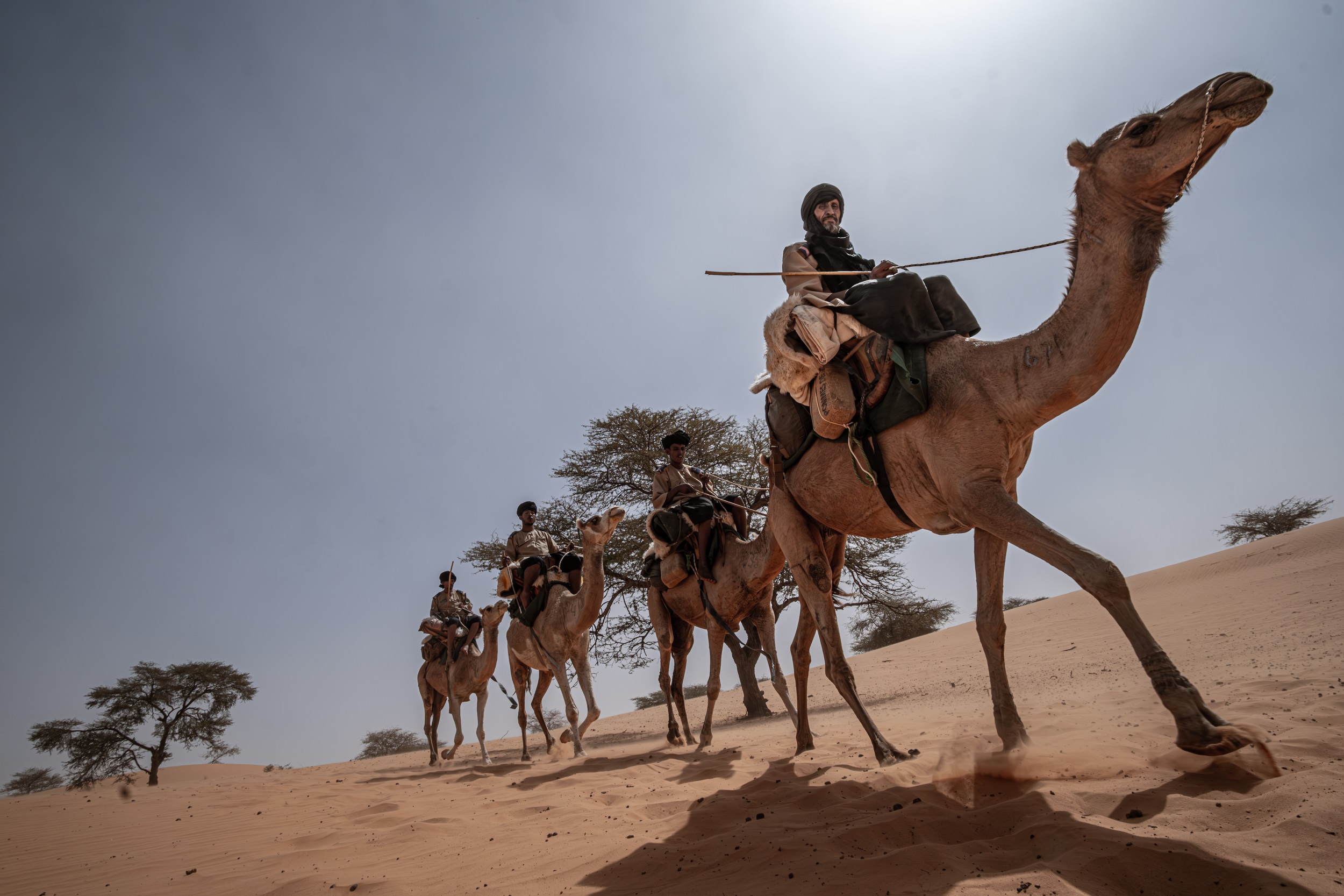 Mauritanie. Sur les traces des « sentinelles du désert » - Reportage