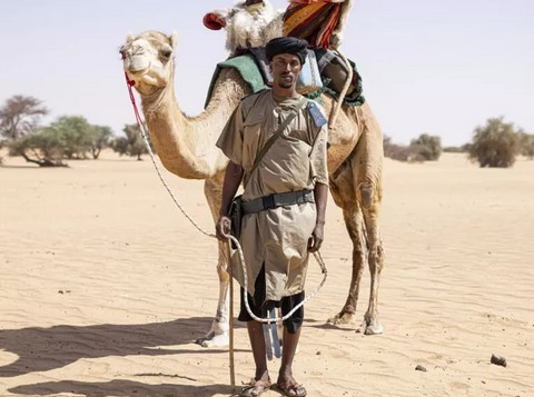 Les méharistes, sentinelles du désert mauritanien face au risque jihadiste