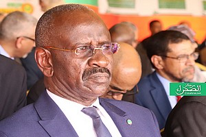 Nana Mohamed Laghdaf : Une circulaire ou même un texte de loi ne suffit pas pour mettre fin au tribalisme politique