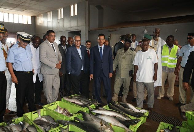 Marché de poissons de Nouakchott : Le ministre des pêches réclame une mise en demeure des entreprises concernées dans le retard de projets