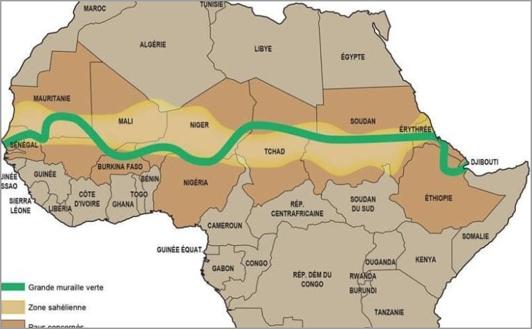 Grande Muraille verte : la Mauritanie l’un des deux meilleurs élèves