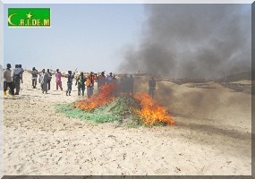 Deux pirogues arraisonnées pour utilisation du monofilament à Ndiago - [Reportage Photos].  