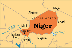 Niger: 10 soldats tués et 4 disparus dans une attaque de Boko Haram