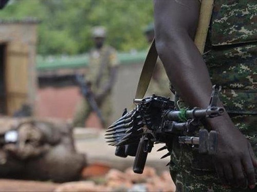 Niger : 14 civils tués et plusieurs autres blessés dans une attaque dans l'ouest du pays (Armée)
