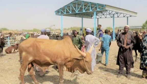 La Mauritanie accueille le Forum Nouakchott+10 : Un nouveau cap pour l’élevage et le pastoralisme au Sahel et en Afrique de l’Ouest 