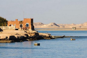 Nouadhibou: Opération coup de poing dans le milieu des commerces en vente de produits périmés