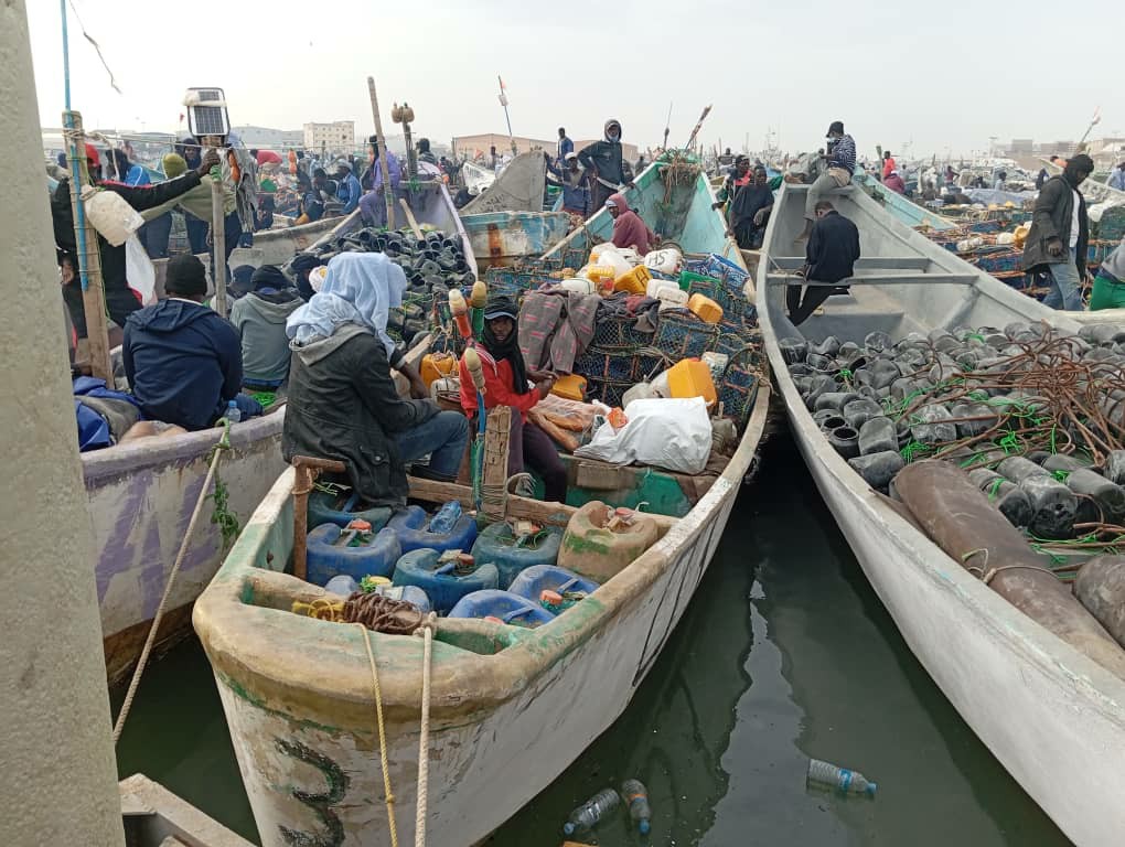 Les pêcheurs artisans satisfaits de la vente malgré les soubresauts