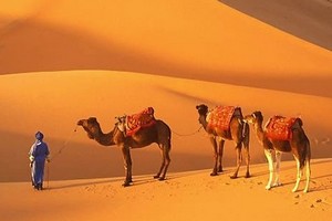 Tourisme : la Mauritanie à nouveau fréquentable ?