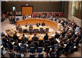 ONU : la Chine propose l'envoi de 500 soldats au Mali