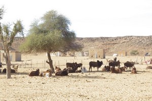 Mauritanie, la sécurité passe par le soutien des populations