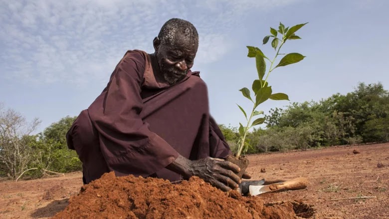Mauritanie. S'attaquer aux causes profondes de l'insécurité alimentaire due au changement climatique 