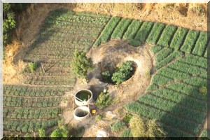  La Banque mondiale mobilise 248 millions $ pour développer les activités agro-pastorales au Sahel 