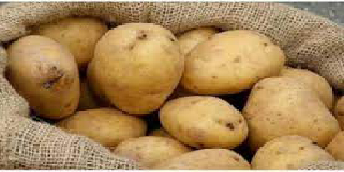 Affaire des pommes de terre impropres à la consommation : le gouvernement réagit