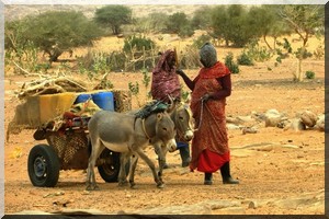 La femme rurale de Tagant (Mauritanie), victime de la pauvreté, maladie et l’analphabétisme