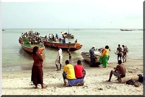 Afrique perd 20 milliards de dollars par an sur la pêche et l'exploitation forestière