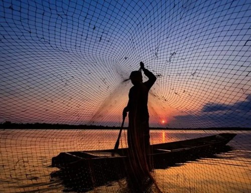 Pêche en Mauritanie : théâtre d’un affrontement économique et informationnel
