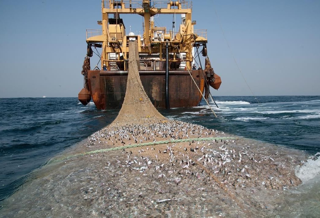 FITI : Le Sénégal invité à suivre l’exemple de la Mauritanie dans le domaine de la pêche industrielle  