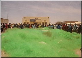 Saisie de mono filaments à Ndiago: Les pêcheurs locaux tirent sur la sonnette d’alarme.   
