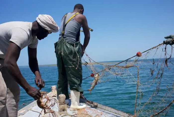 Mauritanie : réduction des redevances payées par les pêcheurs nationaux