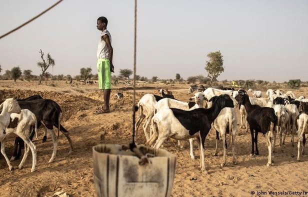 Comment endiguer la stigmatisation des Peuls dans le Sahel