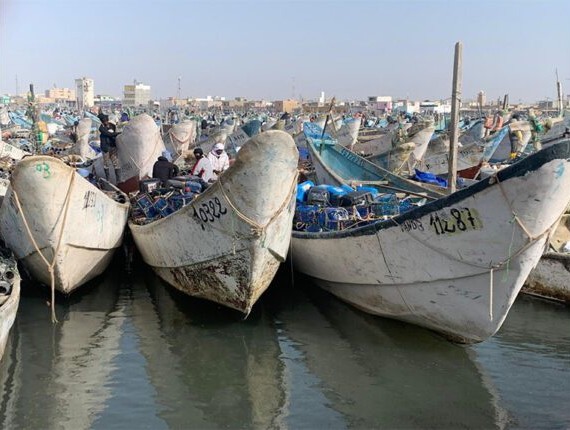 Reprise des activités de la pêche artisanale à Nouadhibou après deux mois d’arrêt