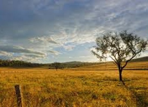 Réforme Foncière : La loterie foncière va-t-elle profiter aux enseignants ?