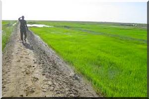 Journées Portes ouvertes du MDR : Studieuses et fructueuses