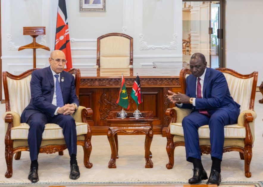 Le président de la République, Président de l’Union africaine rencontre le président Kenyan