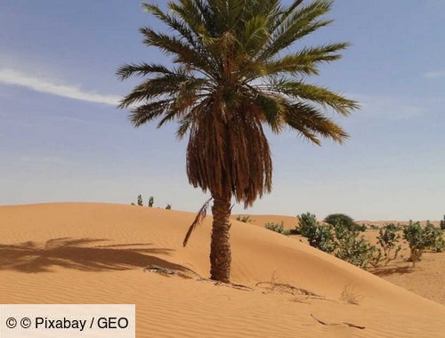 La Mauritanie plutôt que le Maroc, un Sahara vraiment désert