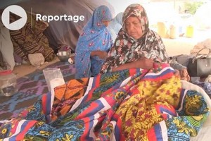 Vidéo. Mauritanie: l’art séculaire de la confection d'une khayma, la tente du désert