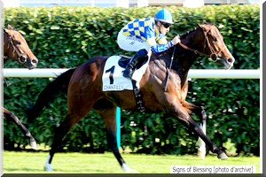 Signs of Blessing, le cheval de notre compatriote Ahmed Ould Mouknass, gagne en Allemagne