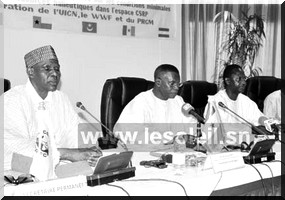 Surveillance maritime : La pêche illicite fait perdre 170 milliards à sept pays d’Afrique de l’Ouest 