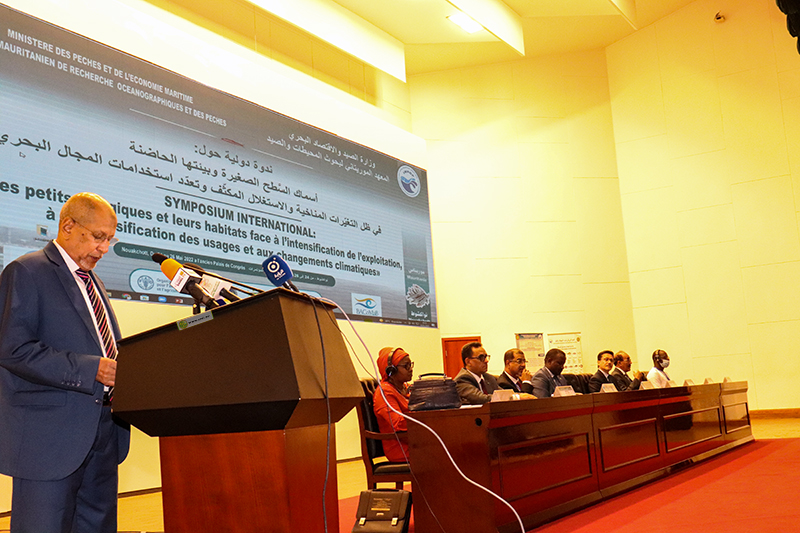 Pêche : symposium international à Nouakchott sur les petits pélagiques et leurs habitats