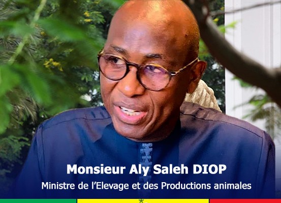 Tabaski 2022 : Embargo sur le Mali, le Sénégal se rabat sur la Mauritanie pour s'approvisionner en moutons