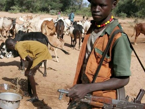 Tchad : Au moins 23 morts dans des affrontements entre agriculteurs et éleveurs 