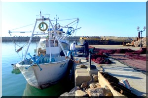 Pêche: la mise à niveau des cadres techniques arabes doit être permanente 