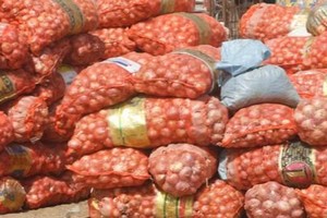 Saint-Louis : saisie de 50 tonnes d'oignon frauduleusement importées