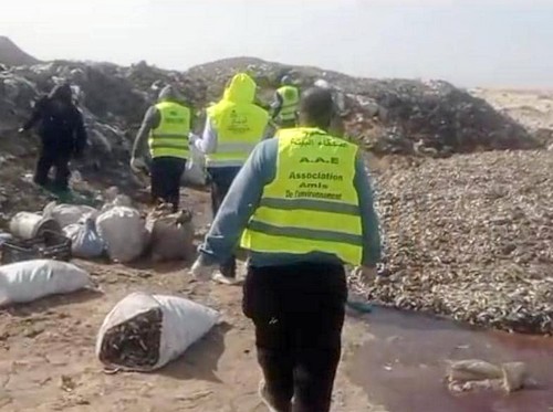  Nouadhibou : des tonnes de poisson jetées dans une décharge !