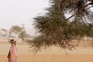 Mauritanie : le tourisme de retour aux sources sahariennes 
